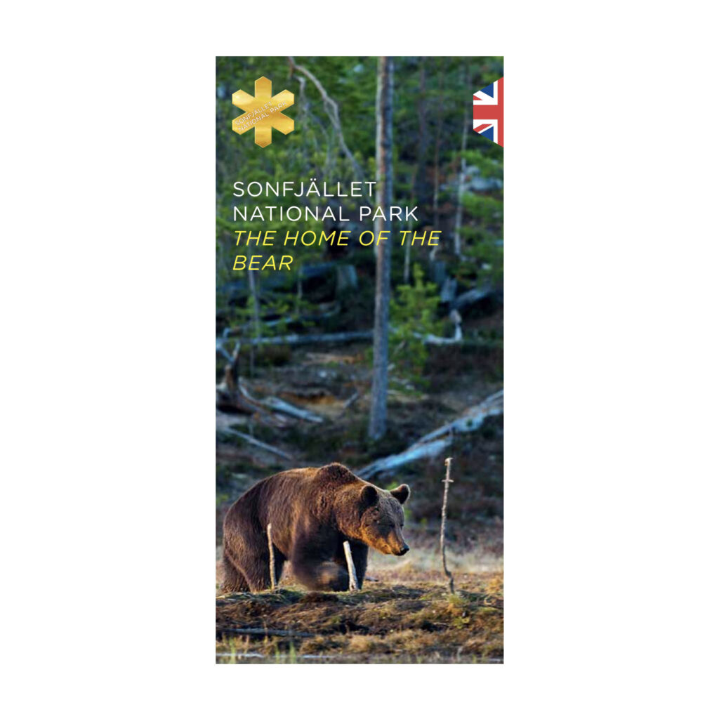 Sonfjällets - The home of the bear