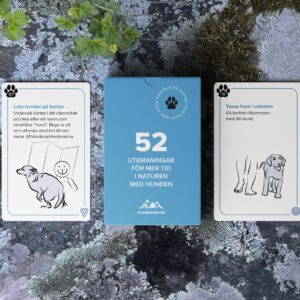 52 utemaningar DOG – för mer tid med hunden i naturen