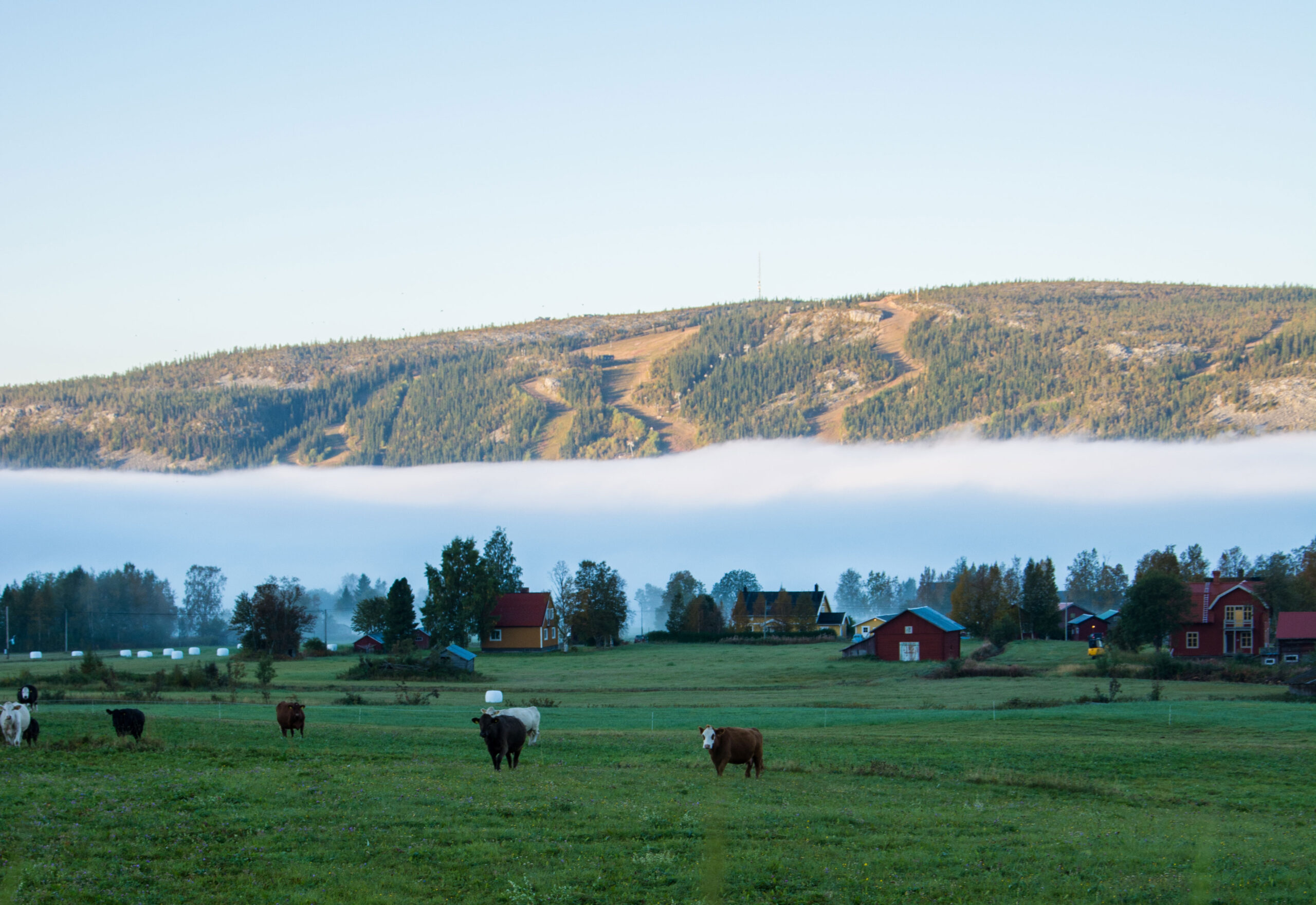 Sydöstra Jämtlands Pastorat